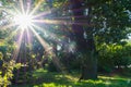 Shine of radiant sunlight in the yard of Moscow State University, Russia. Royalty Free Stock Photo
