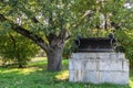 Decorative garden vase in the yard of Moscow State University, Russia. Royalty Free Stock Photo