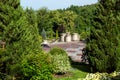 Landscaping flower beds with bushes and evergreen thuja.