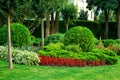 Landscaping of flower beds with flowers and green bushes.