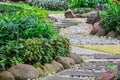 Landscaping in the garden