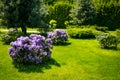 Landscaping in the garden. The path in the garden.Beautiful back Royalty Free Stock Photo