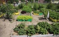 Landscaping on a garden plot