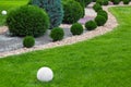 Landscaping of garden with wave ornamental growth cypress bushes.