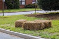 Landscaping gardener spreading straw mulch gardening housework Royalty Free Stock Photo