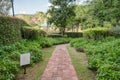 Landscaping green garden and brick pathway