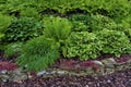 Landscaping with Hostas and Ferns 827324