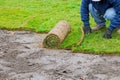 Landscaping laying new sod a backyard green lawn grass in rolls Royalty Free Stock Photo