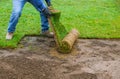 Landscaping laying new sod a backyard green lawn grass in rolls Royalty Free Stock Photo