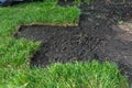 Landscaping, laying new sod in a park or backyard Royalty Free Stock Photo