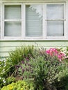 Landscaping near below the window. Royalty Free Stock Photo