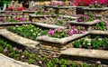 Landscaping with retaining walls and flowerbeds in residential house backyard