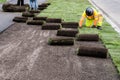 Landscaping sod installation work Royalty Free Stock Photo
