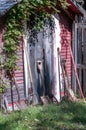 Landscaping tools by an old tool shed