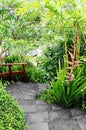 Landscaping of tropical gardens