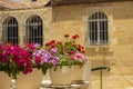 Landscaping urban view old city street garden district vivid colorful flowers vases unfocused stone building background in spring Royalty Free Stock Photo