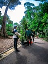 Landscaping workers at Singapore Botanic Gardens.