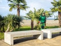 Landscaping workers tie palm leaves with rope. Palm tree leaves trimmed by gardeners at the resort. December at sea. Enclosing the