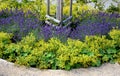 Landscaping with yellow ivy and blue lavender on a sandy playground with a park bench