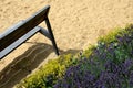 Landscaping with yellow ivy and blue lavender on a sandy playground with a park bench