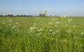 Landschap Arkemheen, Landscape Arkemheen Royalty Free Stock Photo