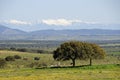 Landschap Extramadura, Landscape Extramadura