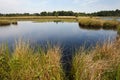 Landschap Kampina; Landscape Kampina, Netherlands