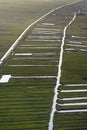 Landschap van Noord-Holland; Landscape of Noord-Holland