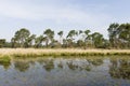 Landschap van Strabrechtse Heide, Landscape at Strabrechtse Heide