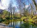 Landskape. River and forest. Background.