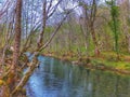 Landskape. River and forest. Background.