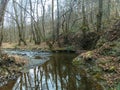 Landskape river Stream Nature Forest Autumn