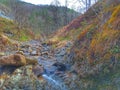 Landskape. Stream. Wilderness. Background. Nature.