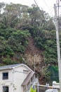 Landslide in Japan, Cliff has collapsed on road.