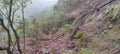 Landslide at Madeira wild trail Furninha do Esmeraldo