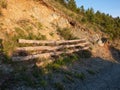 Landslide prevention: structure made with trunks to consolidate the soil