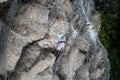 Landslide and rock sliding prevention in Turkey, reinforcing mountain slope with metal mesh. Royalty Free Stock Photo