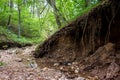 Landslide on the slope of a ravine