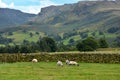 Landsscape in Cumbria, English Lake District Royalty Free Stock Photo