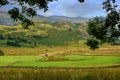 Landsscape in Cumbria, English Lake District Royalty Free Stock Photo