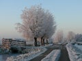 Landweg in de winter Royalty Free Stock Photo