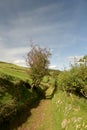 Lane above Doone Valley, Exmoor, North Devon