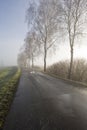 Lane across moor in autumn