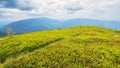 lane through alpine hills and meadows