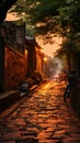 In The Lane Distant is Dusk Brick Wall Distant Sunset Bicycle Trees Background