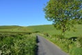 Lane through English countryside in late Spring Royalty Free Stock Photo