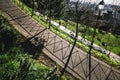 A lane in a public park on sunset