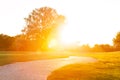 Lane running through park under sunset sunbeams