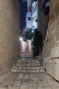 Lane signs of the zodiac at night in on old city Yafo in Tel Aviv-Yafo in Israel Royalty Free Stock Photo