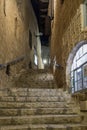 Lane signs of the zodiac at night in on old city Yafo in Tel Aviv-Yafo in Israel Royalty Free Stock Photo